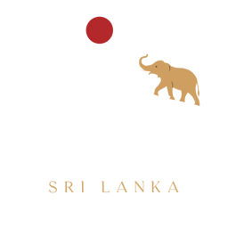 Zen Sri Lanka